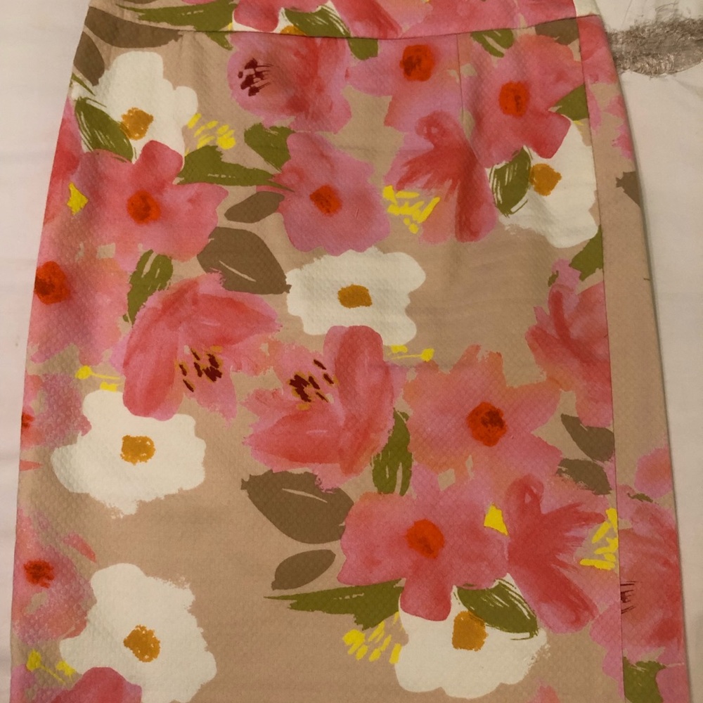 Jcrew skirt